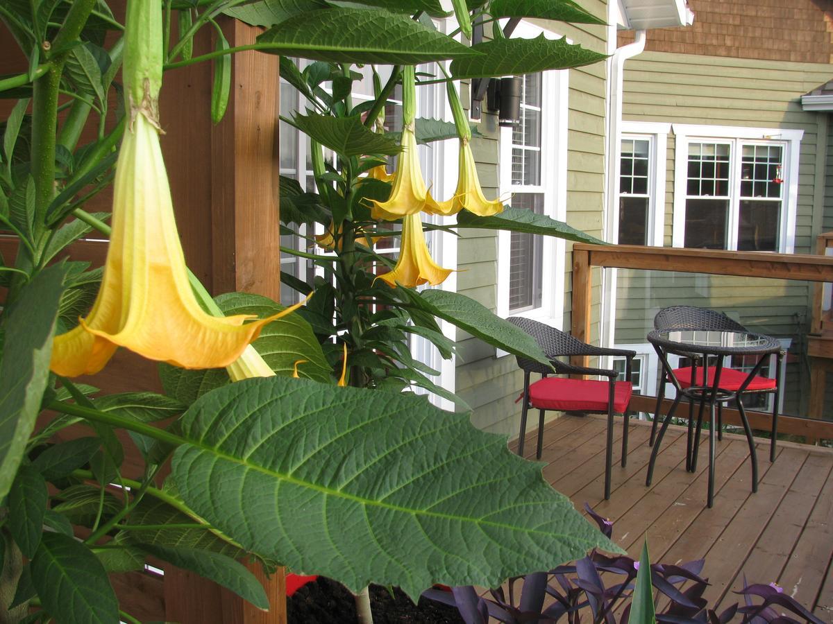 Gi'Temps Couette Et Cafe B&B Granby Bagian luar foto